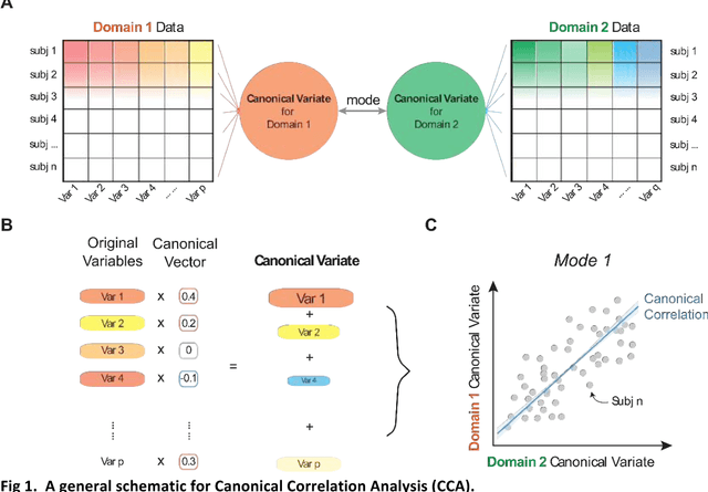 Figure 1 for Finding the needle in high-dimensional haystack: A tutorial on canonical correlation analysis