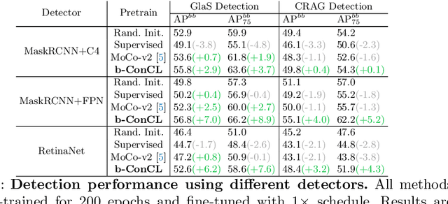Figure 4 for ConCL: Concept Contrastive Learning for Dense Prediction Pre-training in Pathology Images