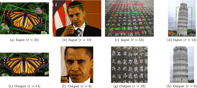 Figure 1 for TILT: Transform Invariant Low-rank Textures