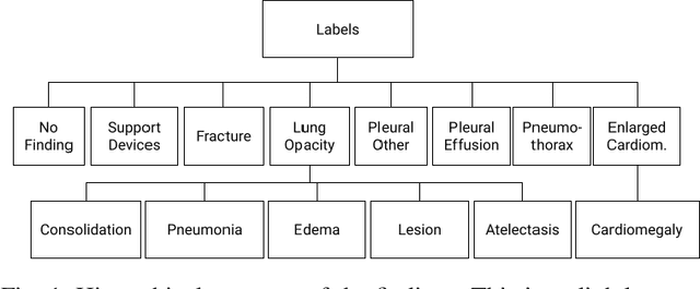 Figure 1 for Image Embedding and Model Ensembling for Automated Chest X-Ray Interpretation