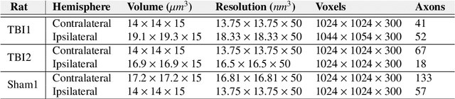 Figure 3 for gACSON software for automated segmentation and morphology analyses of myelinated axons in 3D electron microscopy