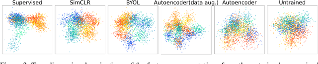 Figure 3 for Controlled-rearing studies of newborn chicks and deep neural networks