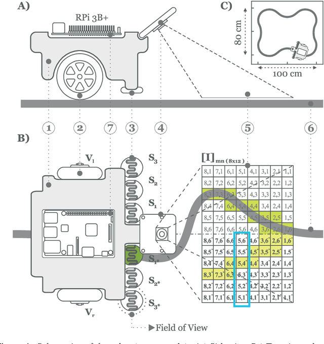 Figure 4 for Sign and Relevance learning