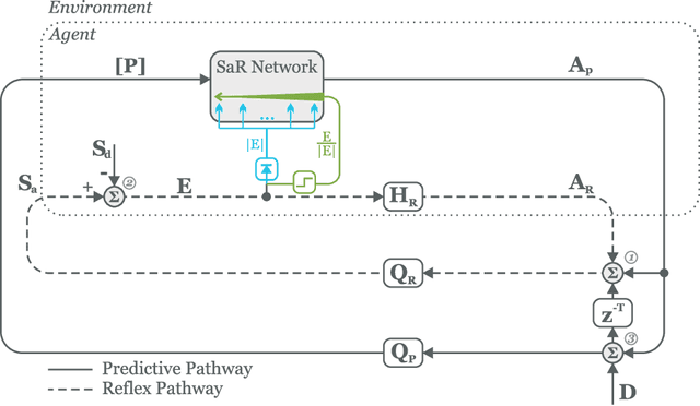 Figure 1 for Sign and Relevance learning