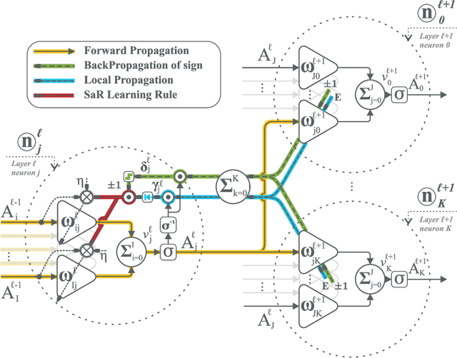 Figure 3 for Sign and Relevance learning