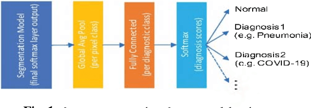 Figure 1 for Dense Pixel-Labeling for Reverse-Transfer and Diagnostic Learning on Lung Ultrasound for COVID-19 and Pneumonia Detection