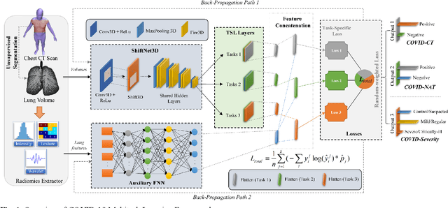 Figure 2 for COVID-MTL: Multitask Learning with Shift3D and Random-weighted Loss for Automated Diagnosis and Severity Assessment of COVID-19