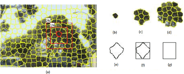 Figure 3 for Combining Multi-level Contexts of Superpixel using Convolutional Neural Networks to perform Natural Scene Labeling