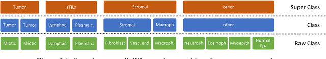 Figure 1 for Nucleus Segmentation and Analysis in Breast Cancer with the MIScnn Framework
