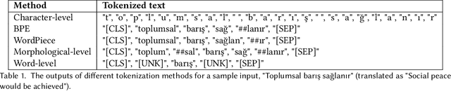Figure 1 for Impact of Tokenization on Language Models: An Analysis for Turkish