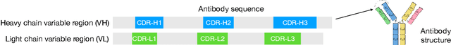 Figure 1 for Iterative Refinement Graph Neural Network for Antibody Sequence-Structure Co-design