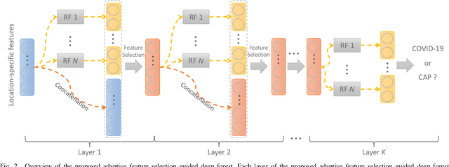 Figure 2 for Adaptive Feature Selection Guided Deep Forest for COVID-19 Classification with Chest CT