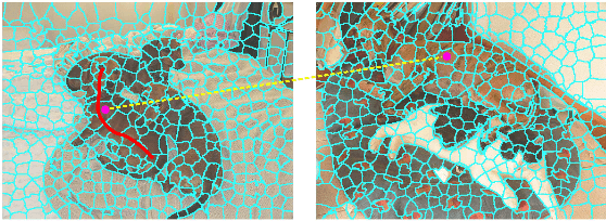Figure 1 for Hypergraph Convolutional Networks for Weakly-Supervised Semantic Segmentation