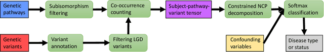 Figure 1 for PANTHER: Pathway Augmented Nonnegative Tensor factorization for HighER-order feature learning