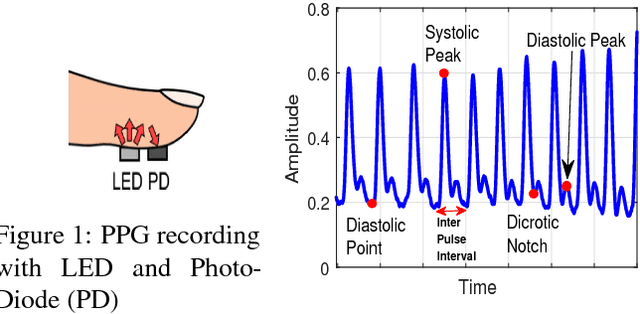 Figure 1 for Evaluation of PPG Biometrics for Authentication in different states