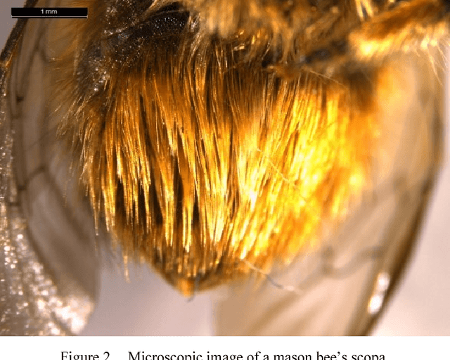 Figure 2 for Design of an Autonomous Precision Pollination Robot