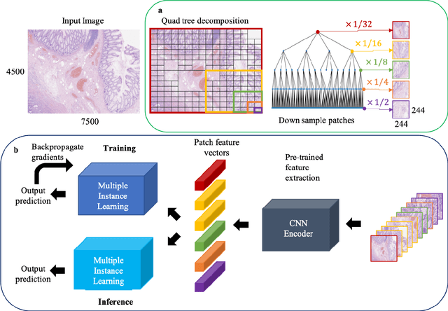 Figure 1 for A QuadTree Image Representation for Computational Pathology