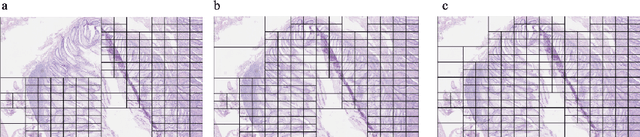 Figure 3 for A QuadTree Image Representation for Computational Pathology