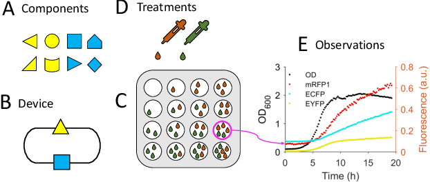 Figure 3 for Efficient Amortised Bayesian Inference for Hierarchical and Nonlinear Dynamical Systems