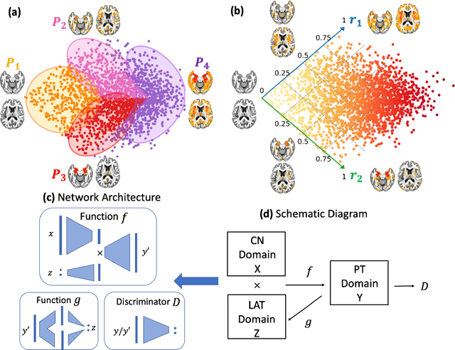 Figure 1 for Surreal-GAN:Semi-Supervised Representation Learning via GAN for uncovering heterogeneous disease-related imaging patterns