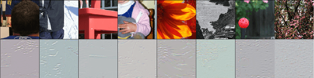 Figure 1 for Robust Watermarking Using Inverse Gradient Attention