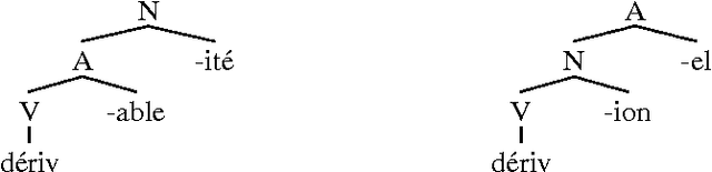 Figure 1 for Acquisition of morphological families and derivational series from a machine readable dictionary