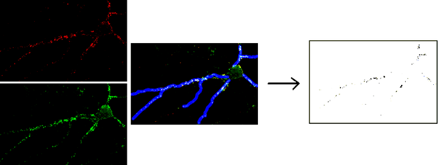 Figure 1 for Verifying an algorithm computing Discrete Vector Fields for digital imaging