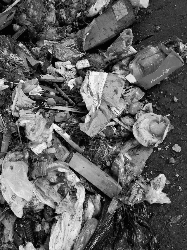 Figure 3 for ContamiNet: Detecting Contamination in Municipal Solid Waste