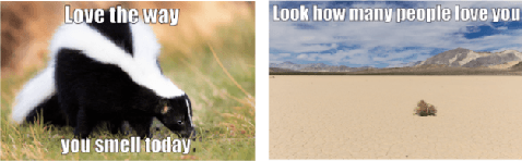 Figure 1 for Hateful Memes Challenge: An Enhanced Multimodal Framework