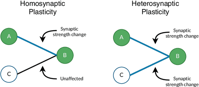 Figure 1 for A Review on Plastic Artificial Neural Networks: Exploring the Intersection between Neural Architecture Search and Continual Learning