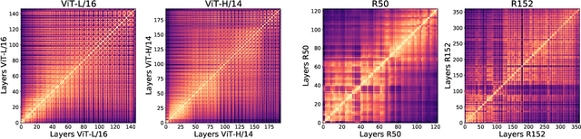 Figure 1 for Do Vision Transformers See Like Convolutional Neural Networks?