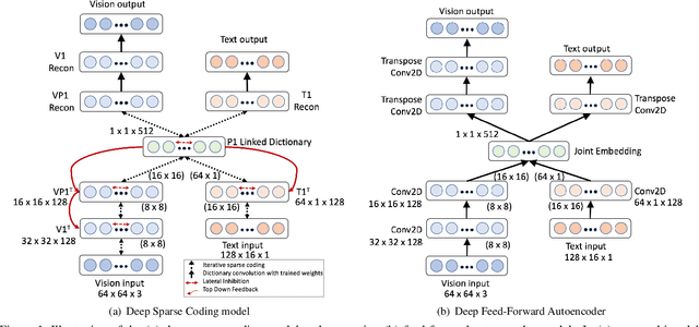 Figure 1 for Deep Sparse Coding for Invariant Multimodal Halle Berry Neurons