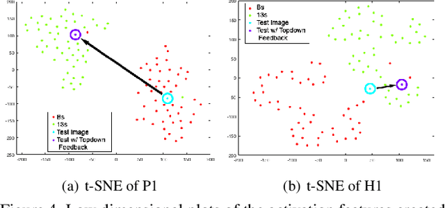 Figure 4 for Deep Sparse Coding for Invariant Multimodal Halle Berry Neurons