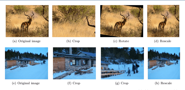 Figure 1 for Deep Superpixel-based Network for Blind Image Quality Assessment