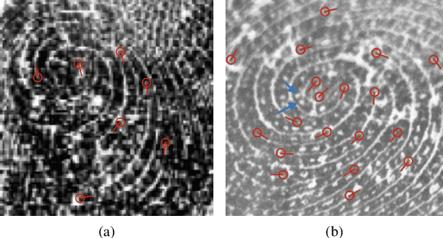 Figure 4 for Infant-Prints: Fingerprints for Reducing Infant Mortality