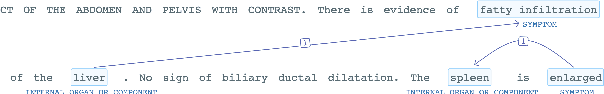 Figure 1 for Deeper Clinical Document Understanding Using Relation Extraction