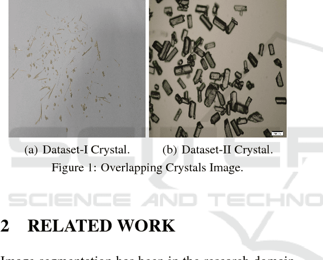 Figure 1 for Image Segmentation of Multi-Shaped Overlapping Objects