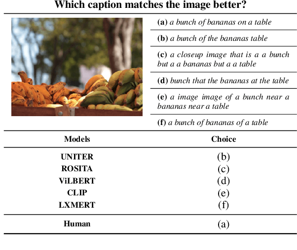 Figure 1 for Probing Cross-modal Semantics Alignment Capability from the Textual Perspective
