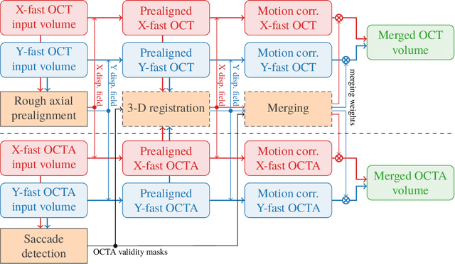 Figure 1 for Efficient and high accuracy 3-D OCT angiography motion correction in pathology