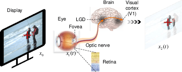 Figure 2 for HVS-Inspired Signal Degradation Network for Just Noticeable Difference Estimation