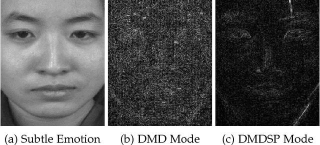 Figure 3 for Sparsity in Dynamics of Spontaneous Subtle Emotions: Analysis \& Application