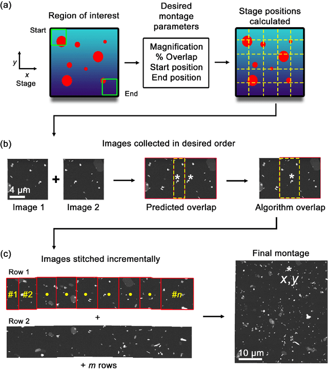 Figure 3 for An Automated Scanning Transmission Electron Microscope Guided by Sparse Data Analytics