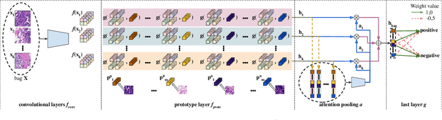 Figure 3 for ProtoMIL: Multiple Instance Learning with Prototypical Parts for Fine-Grained Interpretability