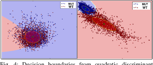 Figure 4 for Analysis of Cellular Feature Differences of Astrocytomas with Distinct Mutational Profiles Using Digitized Histopathology Images