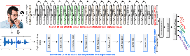Figure 1 for Neural Networks for Pulmonary Disease Diagnosis using Auditory and Demographic Information