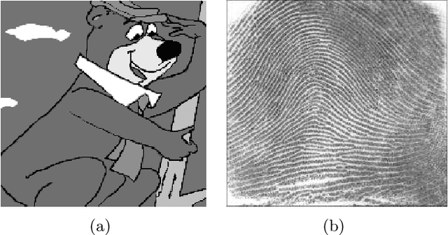 Figure 1 for A Panorama on Multiscale Geometric Representations, Intertwining Spatial, Directional and Frequency Selectivity