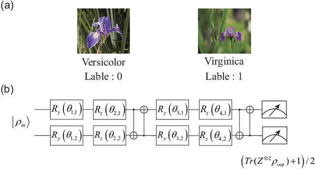 Figure 2 for Parameter-Parallel Distributed Variational Quantum Algorithm