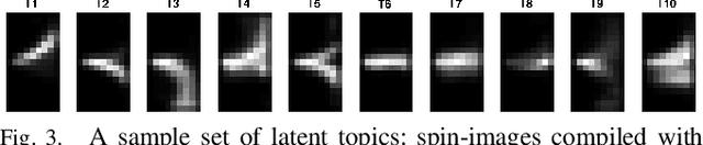 Figure 3 for Look Further to Recognize Better: Learning Shared Topics and Category-Specific Dictionaries for Open-Ended 3D Object Recognition