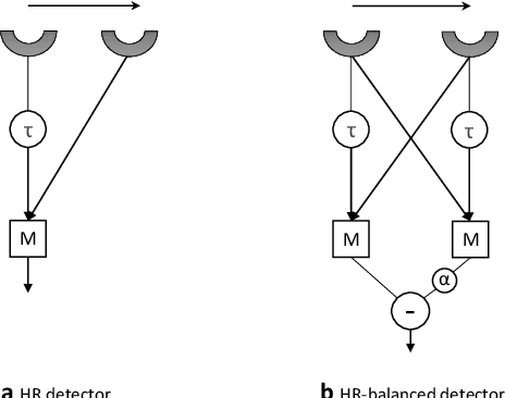 Figure 1 for Constant Angular Velocity Regulation for Visually Guided Terrain Following