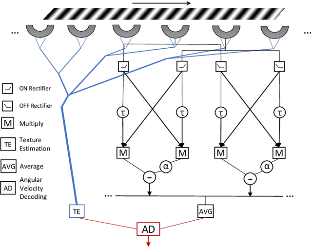 Figure 3 for Constant Angular Velocity Regulation for Visually Guided Terrain Following